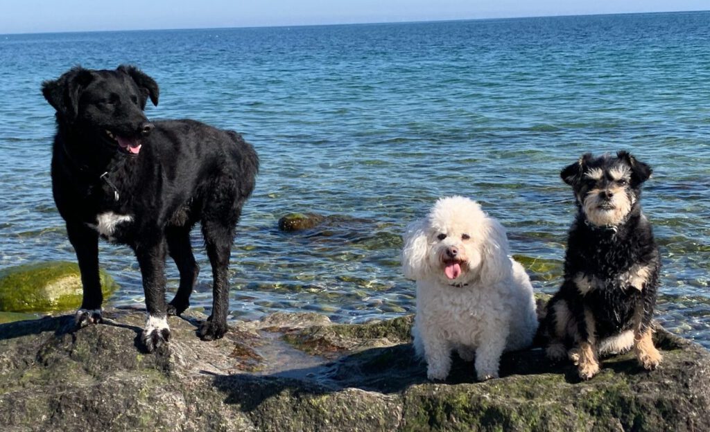 Start Foto E1751029014274 1024x624