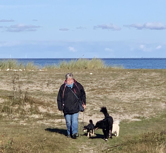 K Mit Hunden Am Strand