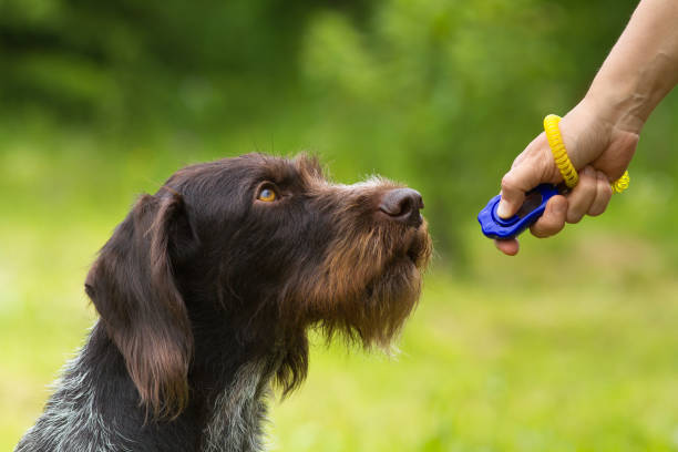 Istockphoto 1319937904 612x612 1