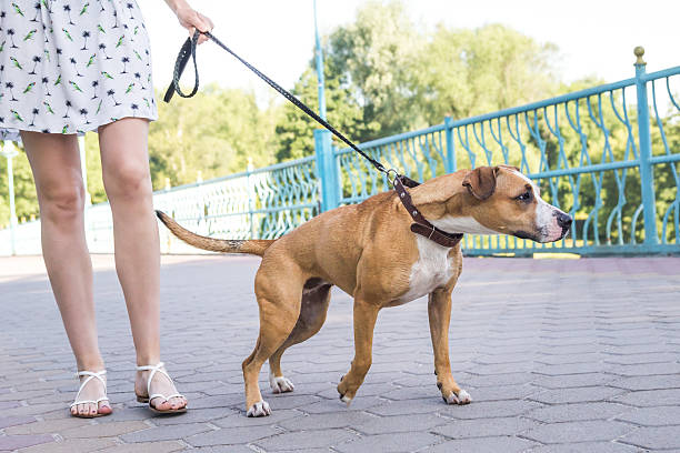 Istockphoto 600084712 612x612 1